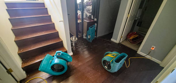 Best Water damage restoration near me  in Dixmoor, IL