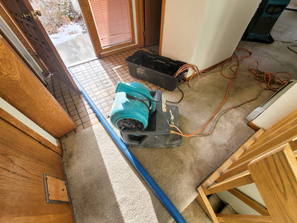 Best Water damage restoration near me  in Dixmoor, IL
