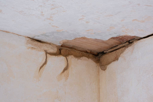Dixmoor, IL Water damage restoration Company
