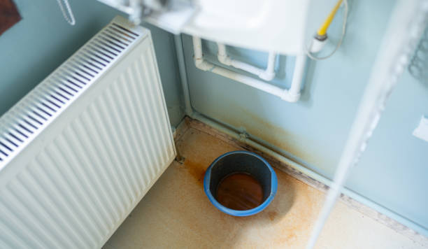 Best Ceiling water damage repair  in Dixmoor, IL